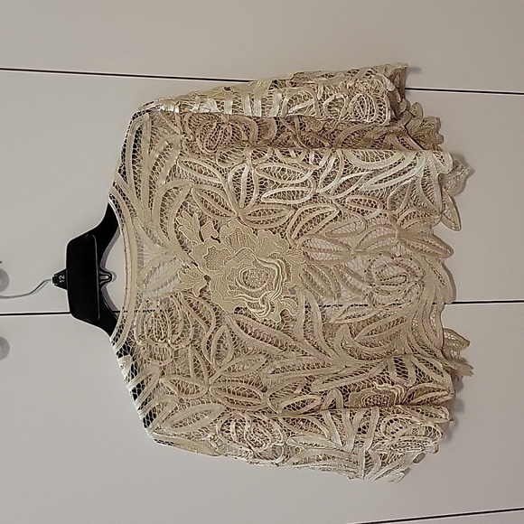 EUC In Phase Fashion Champagne Evening Dress - Picture 7 of 10